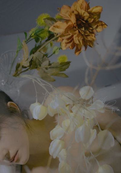 91牛牛在线自拍视频网_BD英语在线播放观看